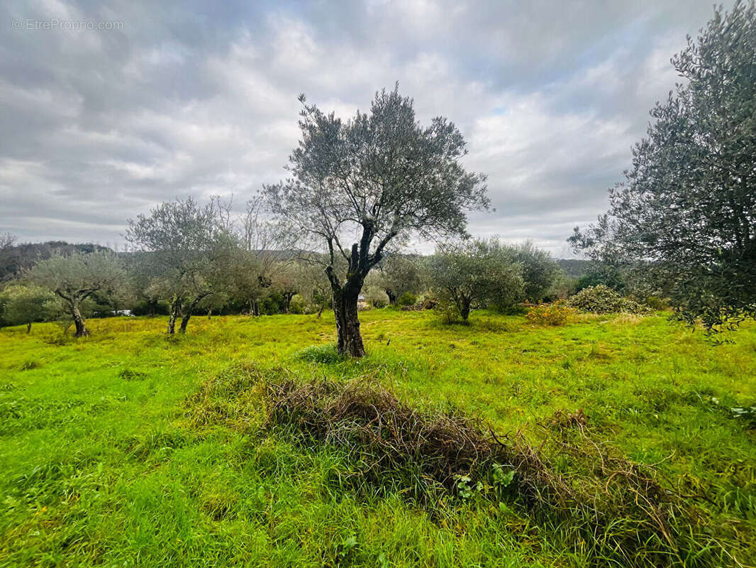 Maison à GOUDARGUES