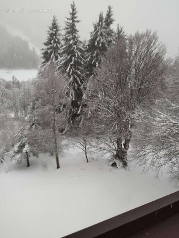 Appartement à LAGUIOLE