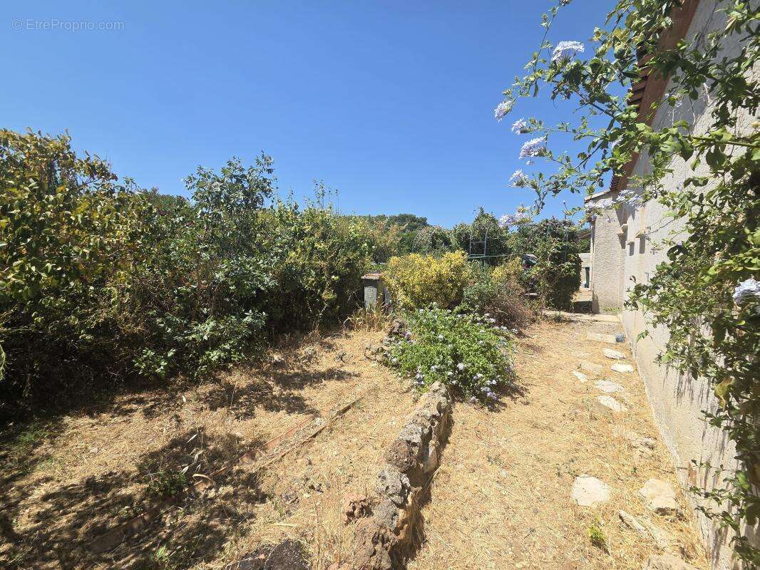 Maison 58 m² à Paulhan  - photo 8