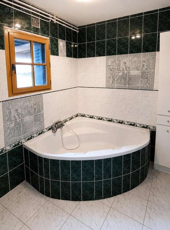 Maison 237 m² à Buzancais  - photo 7
