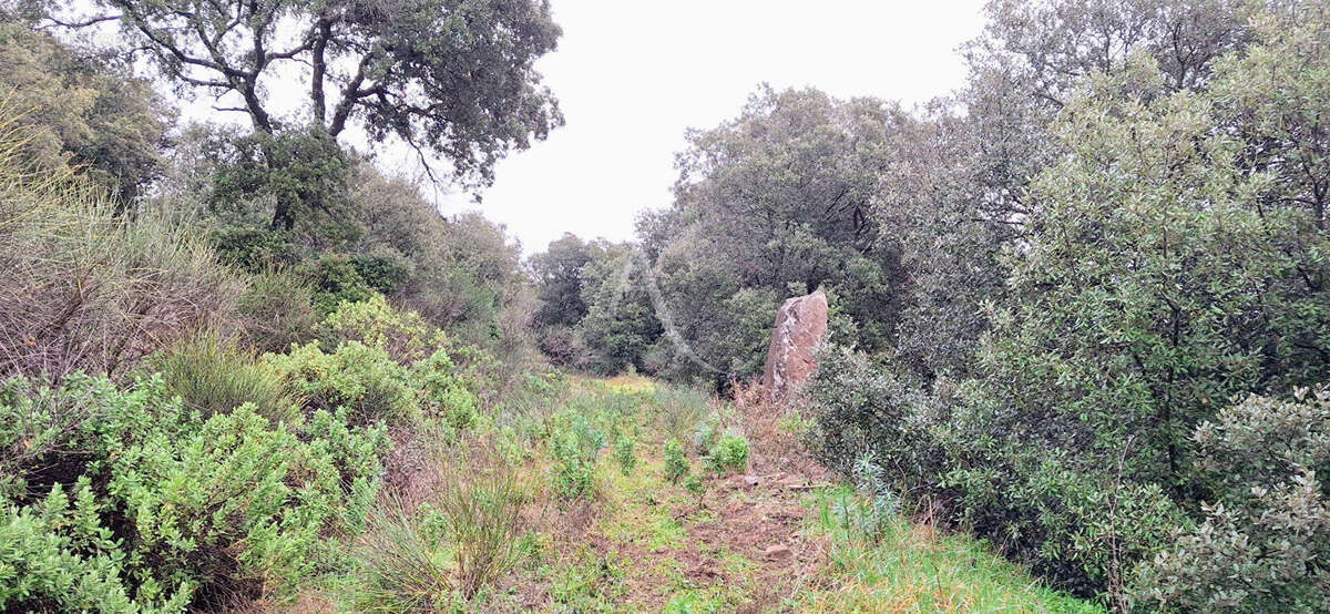 Terrain à FAUGERES
