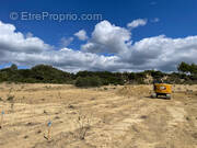 Terrain à PORTEL-DES-CORBIERES