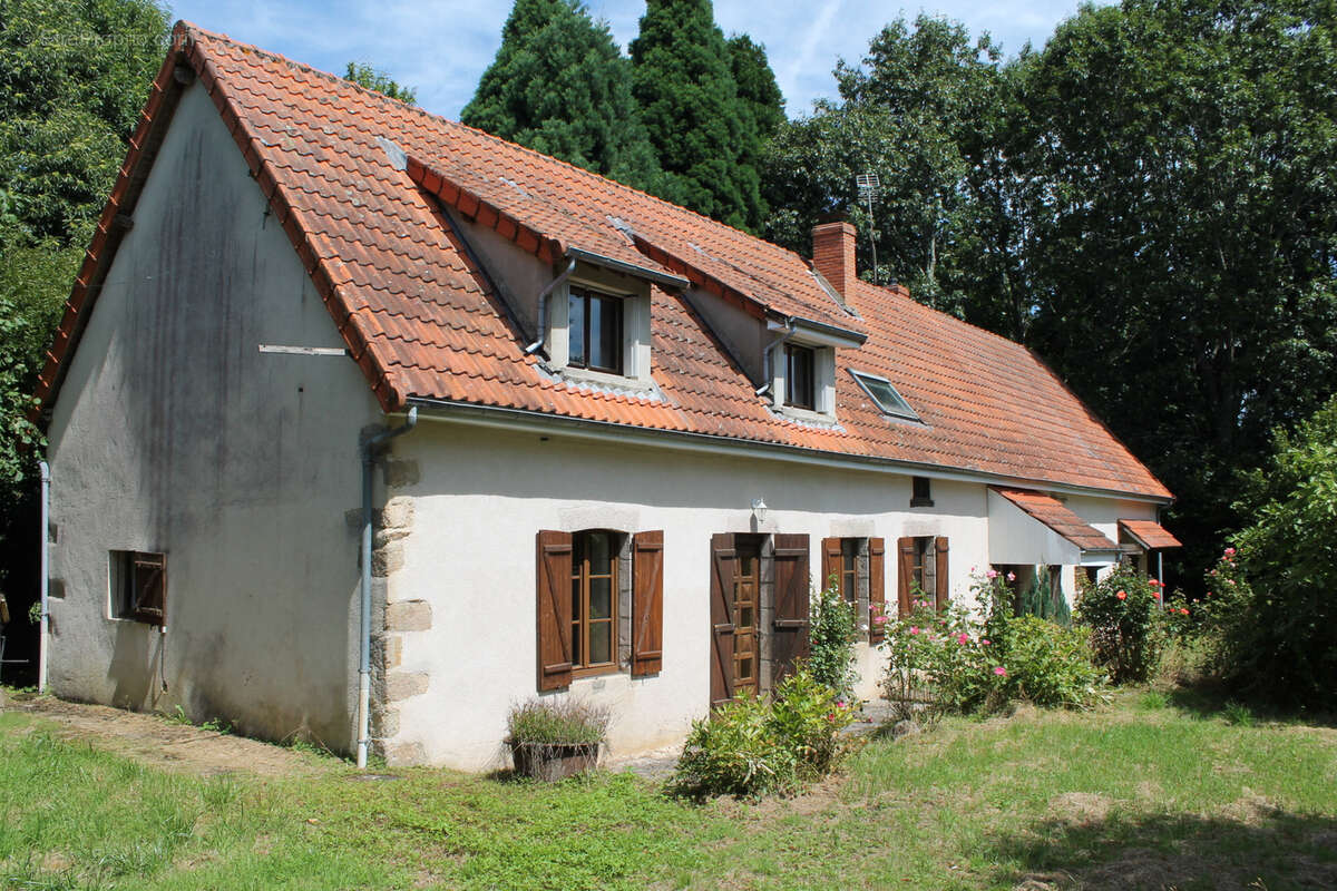 St Palais   Maison spacieuse  sur 1612 m2 dans le village. - photo 2