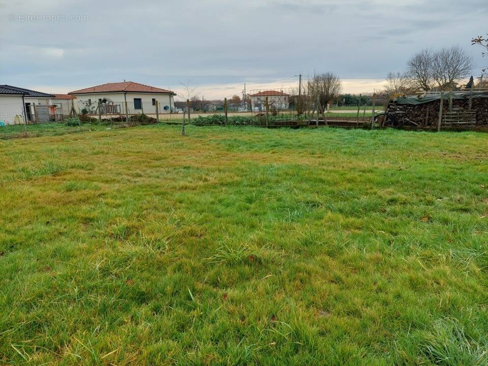 Terrain à VILLEBRUMIER