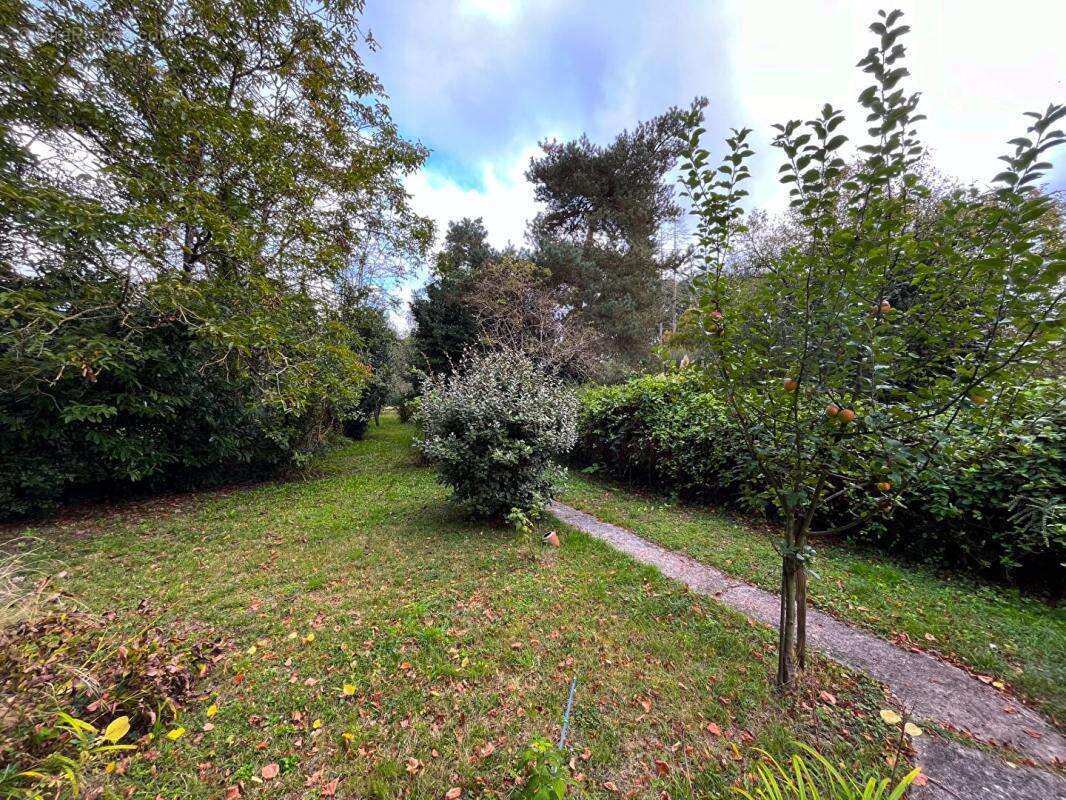 Maison Saint Christophe En Bazelle 3 pièce(s) 75 m2 - photo 10