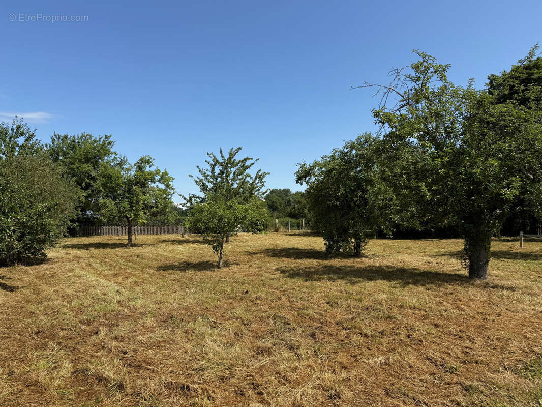 Terrain à VILLY-LE-MARECHAL