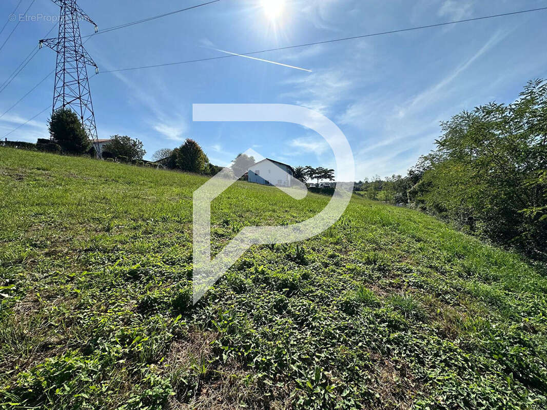 Terrain à SAINT-PIERRE-D'IRUBE
