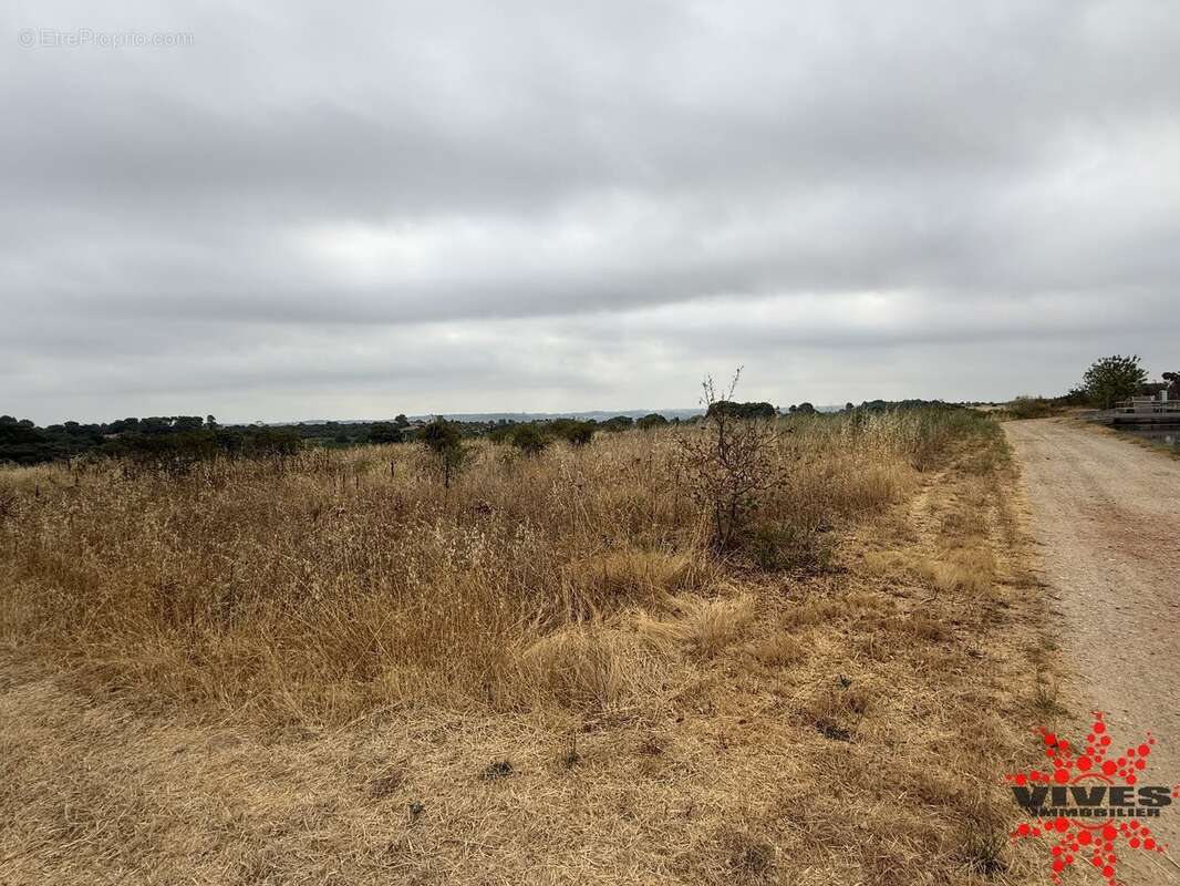 Terrain agricole ou de loisirs - photo 6