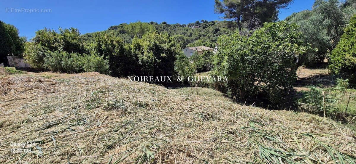 Terrain à VALLAURIS