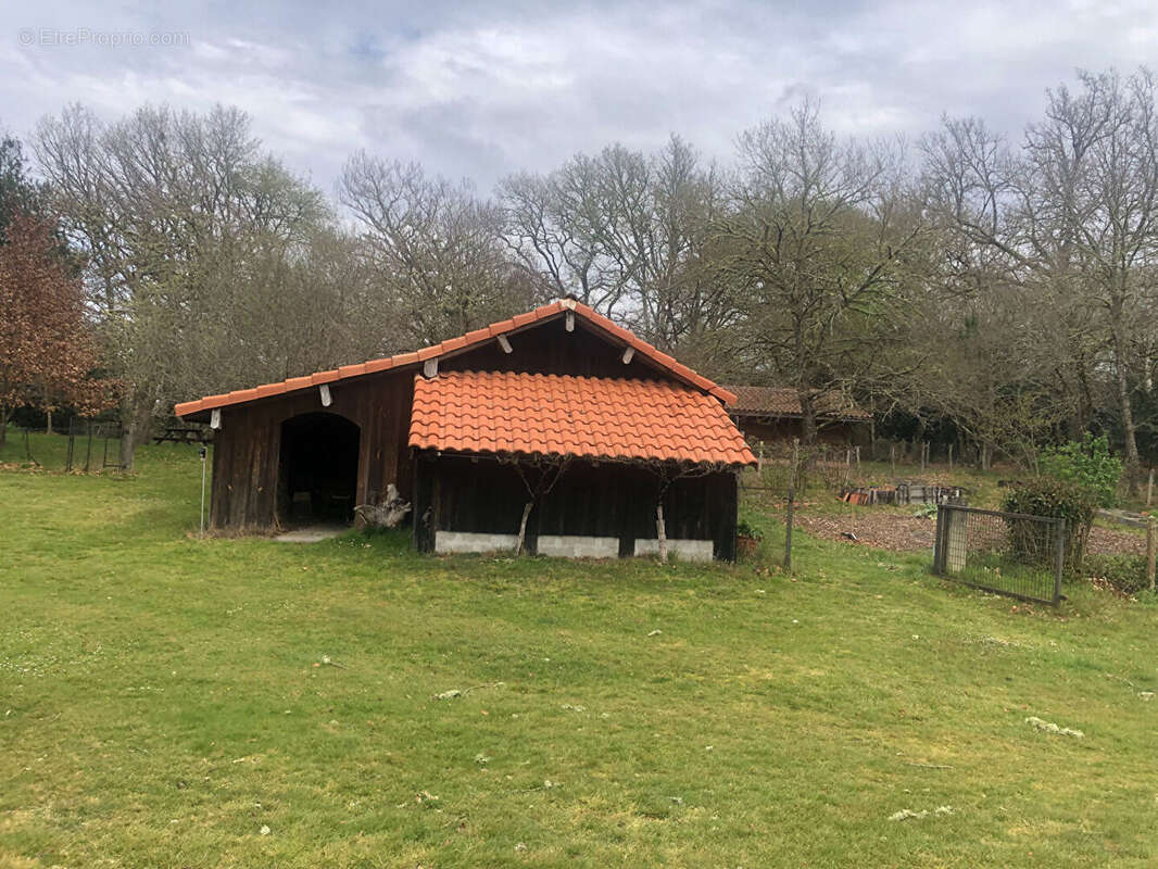 Maison à SABRES