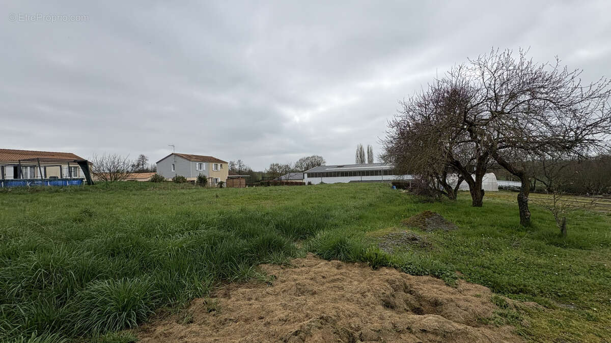 Terrain à bâtir en vente sur Chemillé-en-Anjou - Exclusivité AMP - photo 5