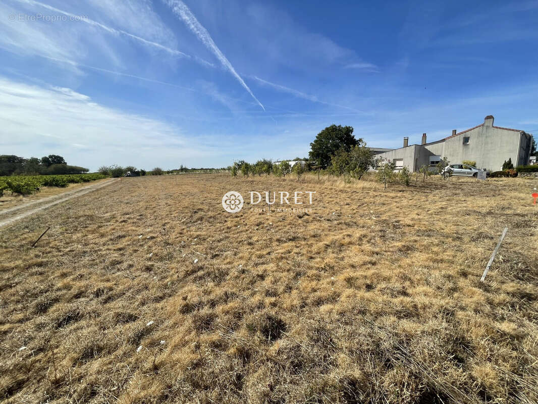 Terrain 500 m² à Maisdon-Sur-Sevre  - photo 5