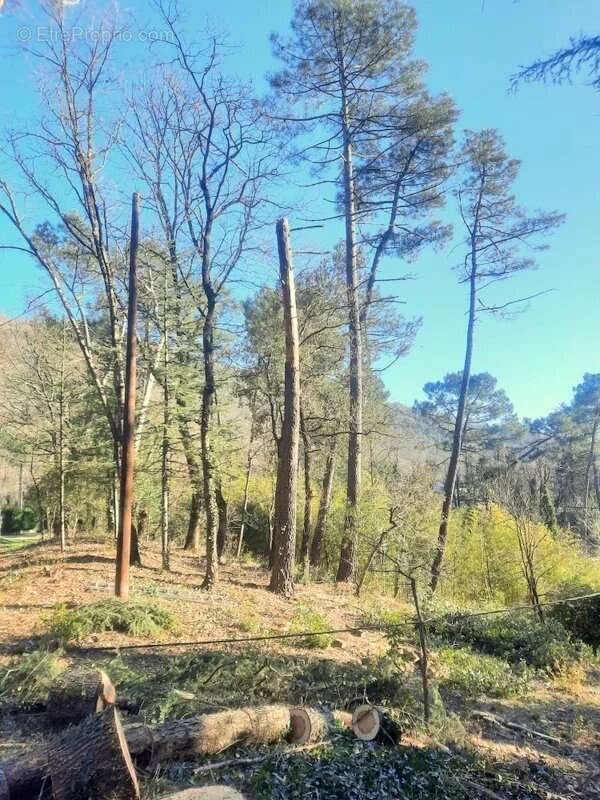 Terrain à SAINT-AMBROIX