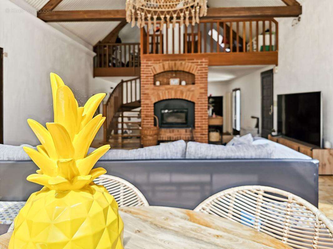 Bellevigne-en-Layon - Propriété de 250 m²  - 2 habitations - Piscine chauffée - Plus d'1 hectare de terrain - photo 8