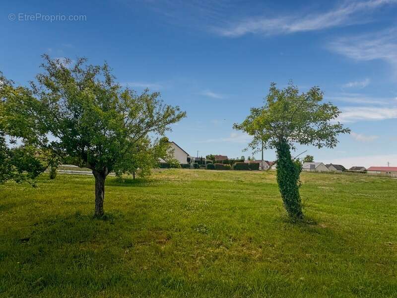 Terrain à MAGNY-SUR-TILLE