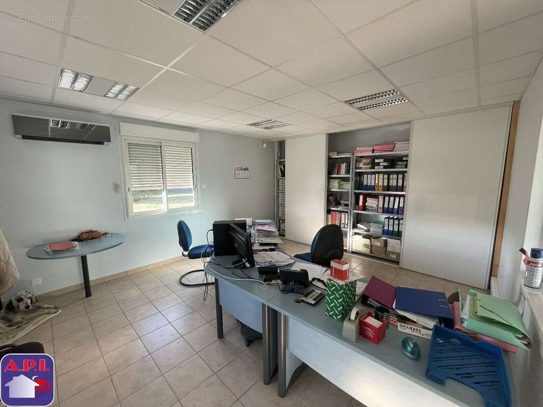 Commerce à LAROQUE-D&#039;OLMES