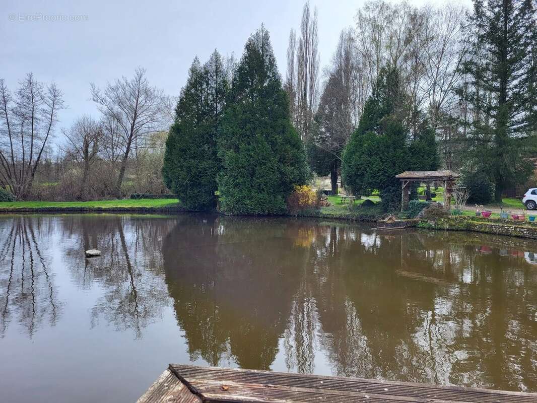Maison idyllique au bord d'un lac avec gîtes - Haute Vienne - photo 25