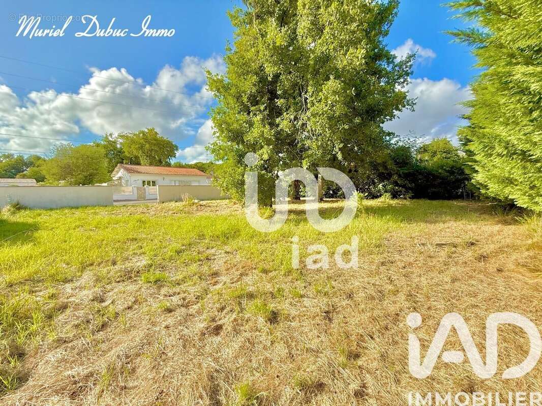 Photo 2 - Terrain à BREUILLET