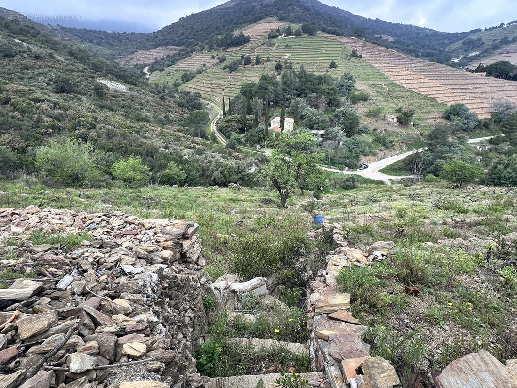 Terrain à PORT-VENDRES