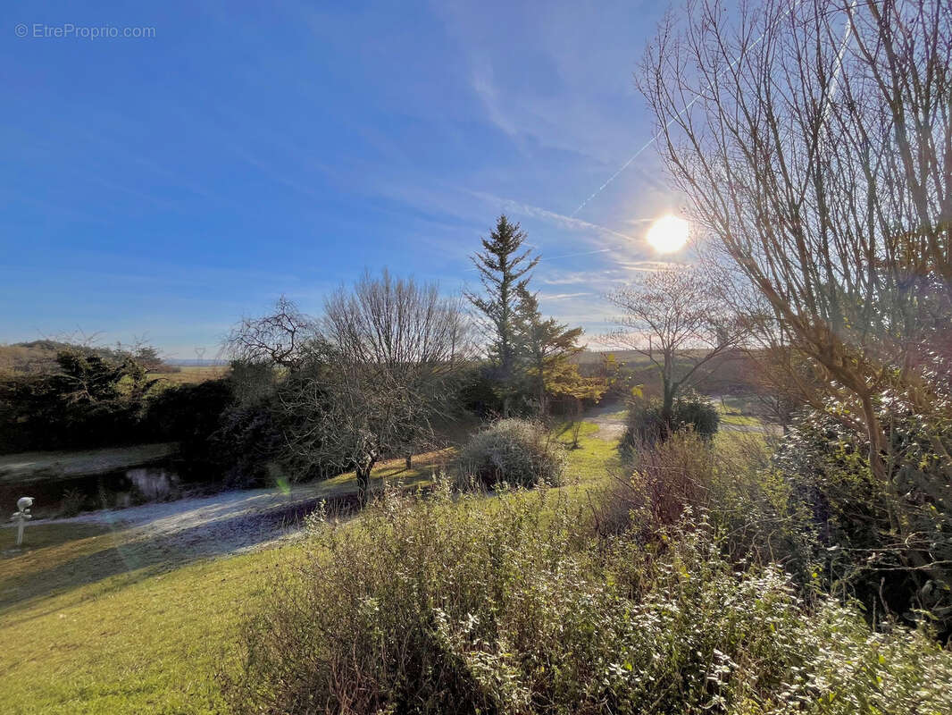 Maison à MONTREUIL-BELLAY