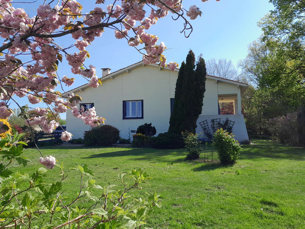 Maison à SAINT-NICOLAS-DE-LA-GRAVE