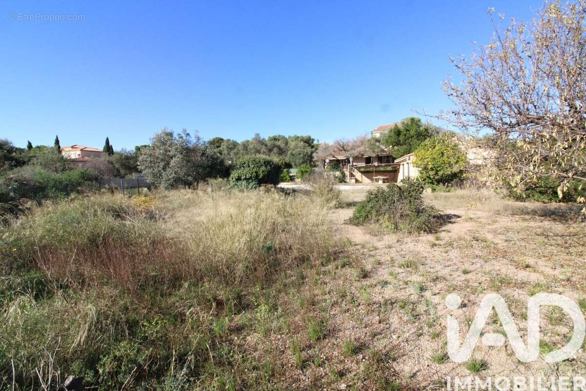 Photo 3 - Terrain à FITOU