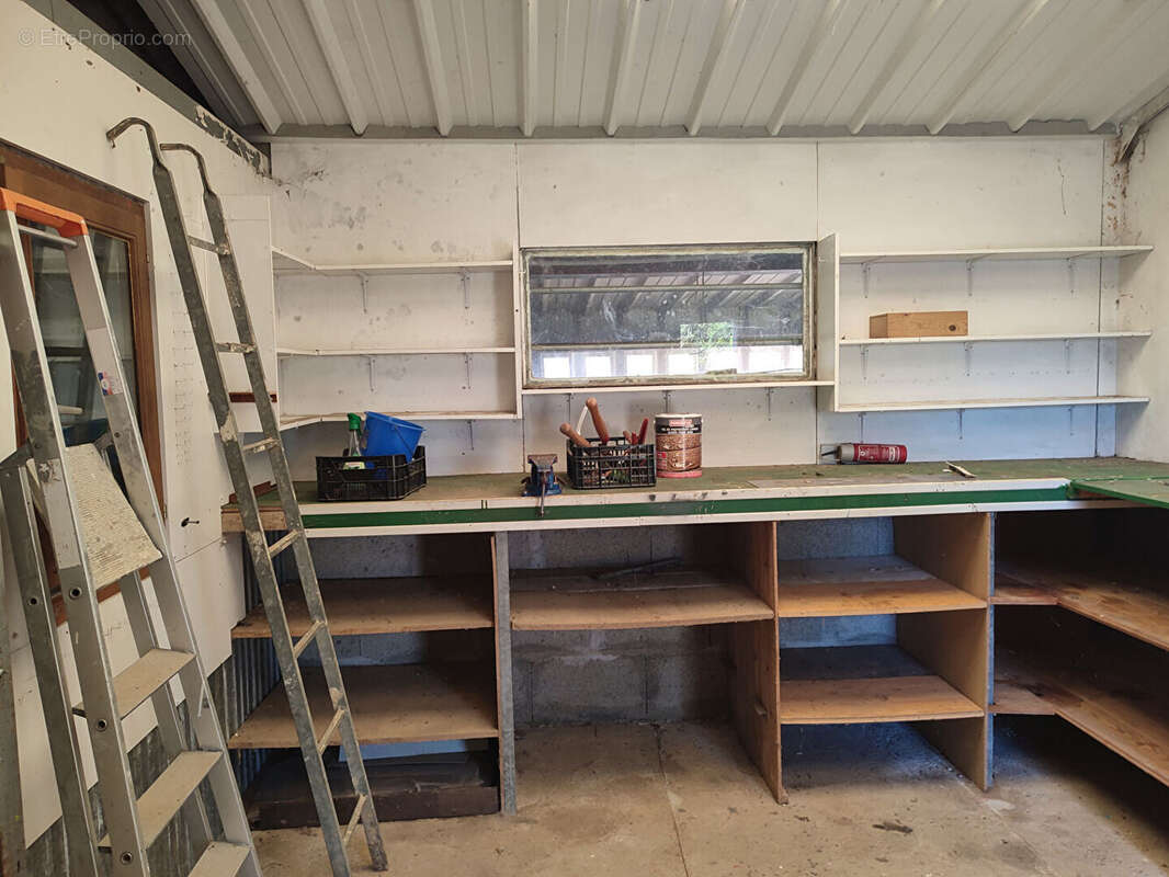 Terrain à LE MENIL-BROUT