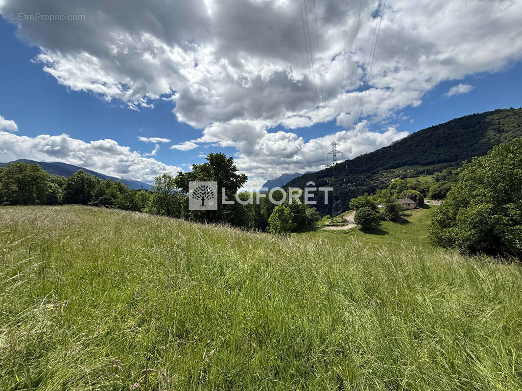 Terrain à CESARCHES