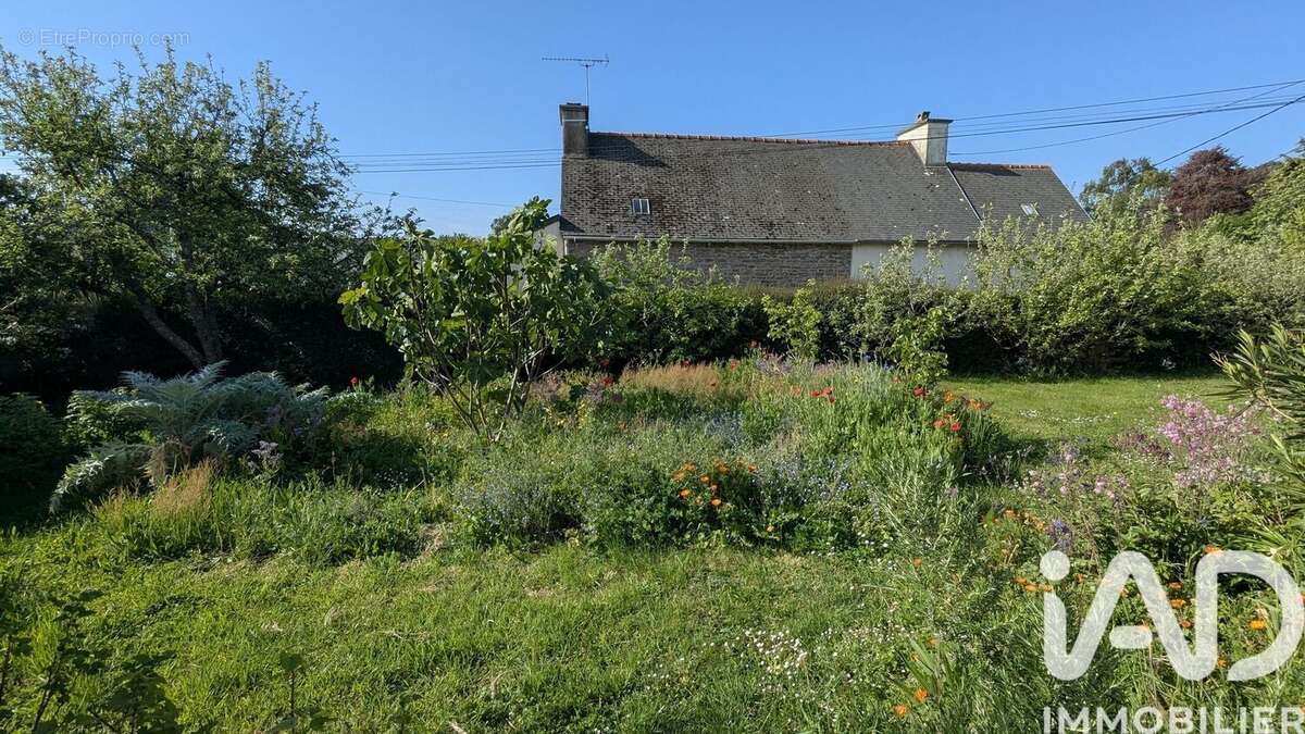 Photo 3 - Maison à PLOUEZEC