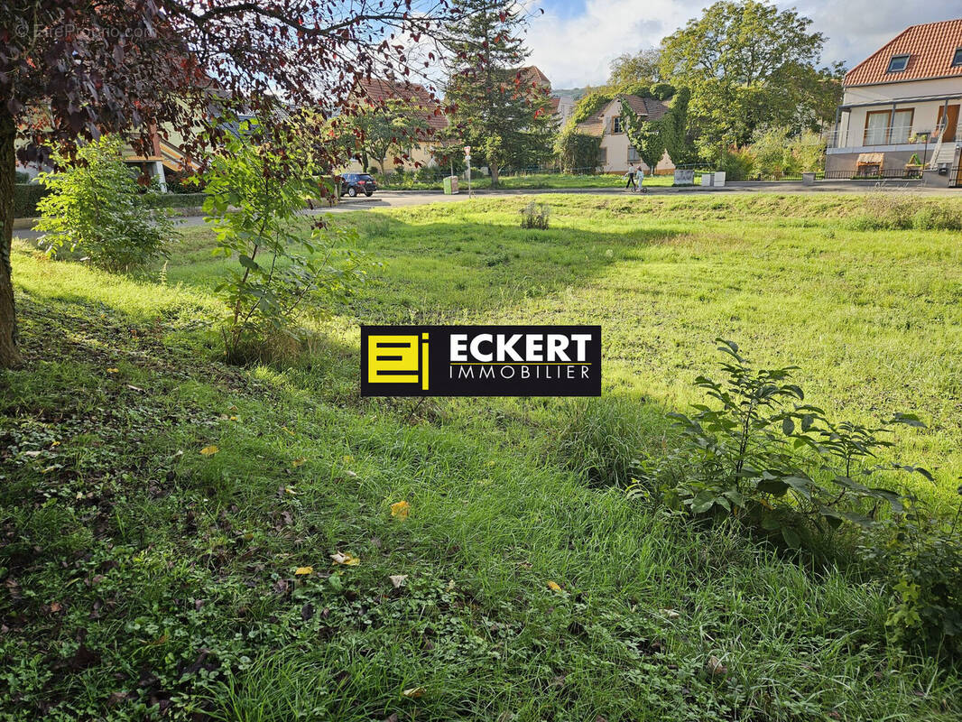 Terrain à MOLSHEIM
