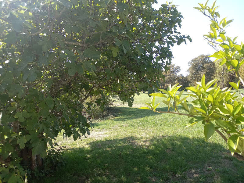 Maison à SAINT-AIGULIN
