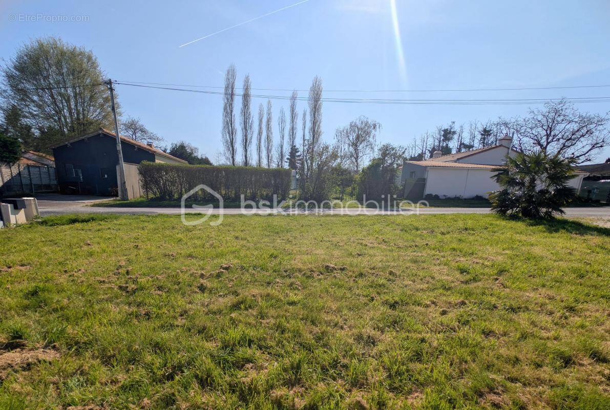 Terrain à SAINT-JULIEN-DE-CONCELLES