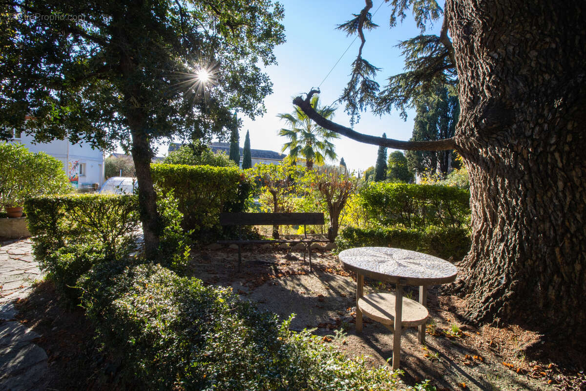 Maison à SAINT-FELIX-DE-LODEZ