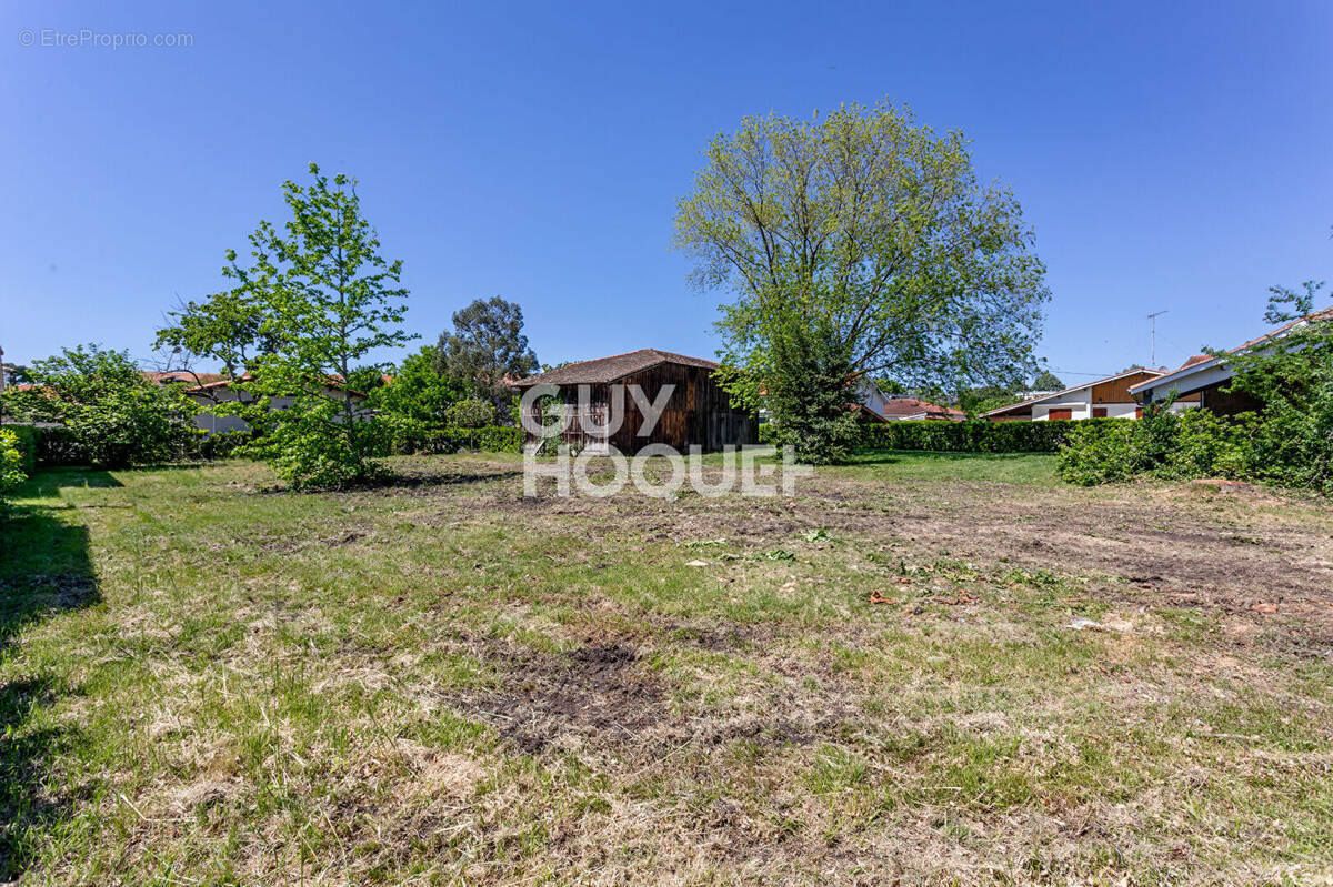 Terrain à BISCARROSSE