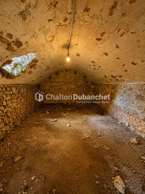 Terrain de 4576 m²  avec deux bâtiments en ruine à MONTAIGUET EN FOREZ - photo 9