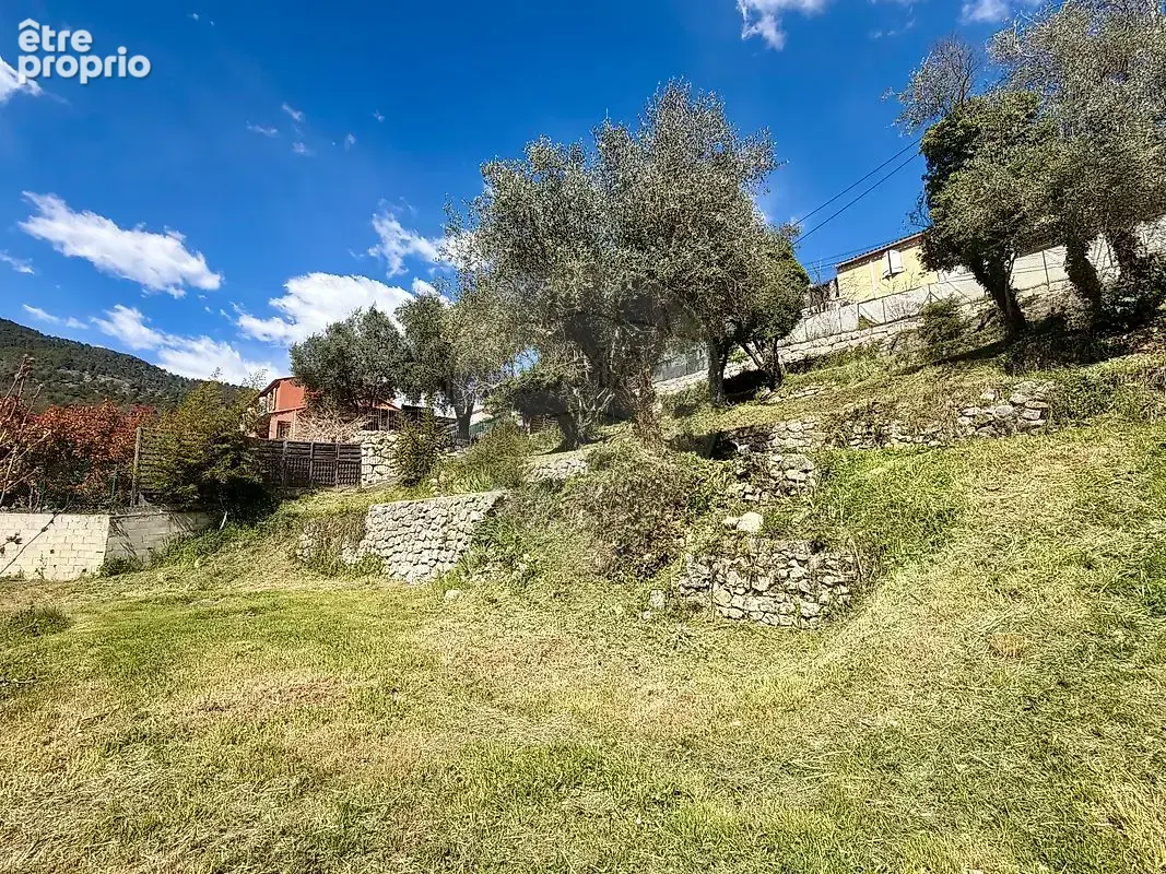Terrain  à vendre - photo 9