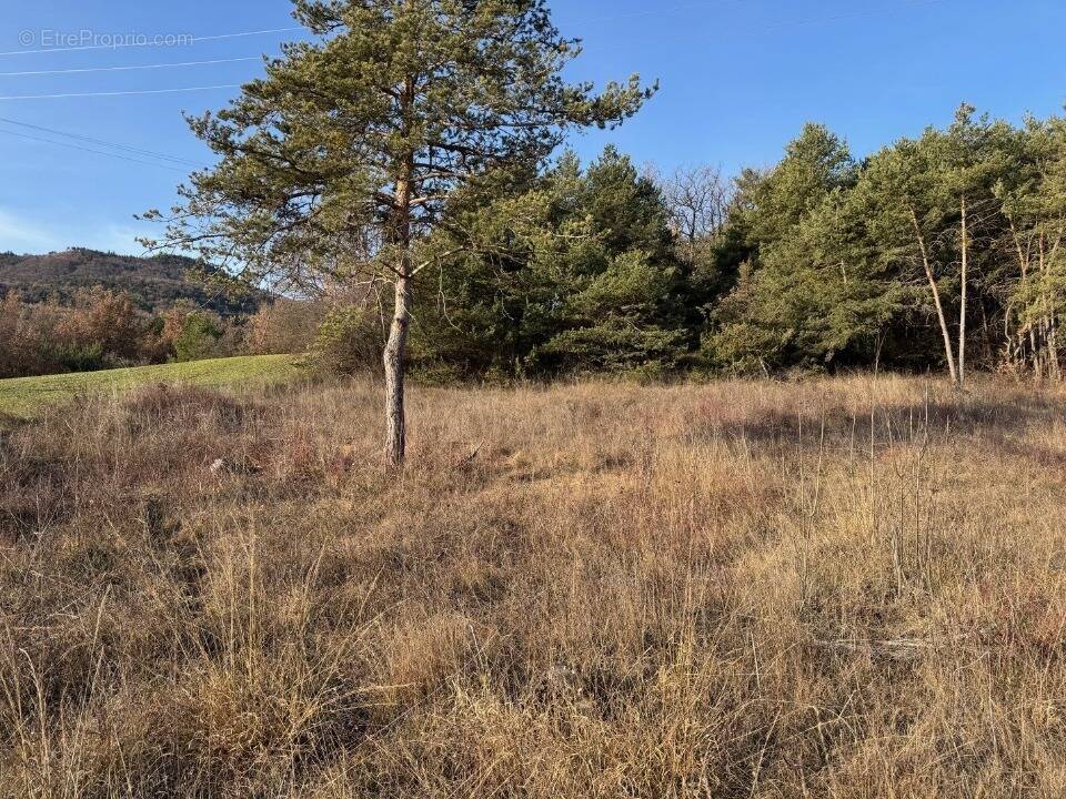 Terrain à TALLARD