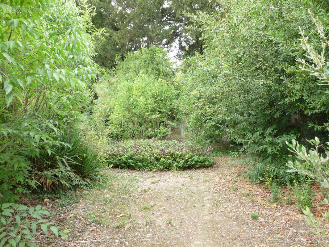 jardin - Maison à AUCH
