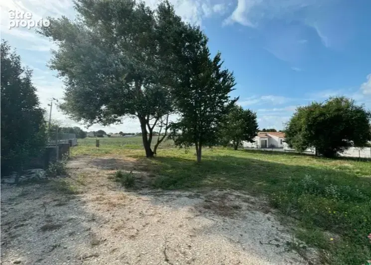 Terrain à PORT-DES-BARQUES
