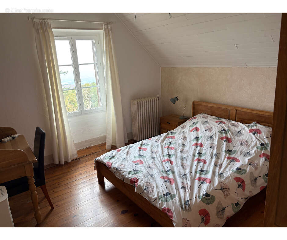 Grande maison traditionnelle au cœur de la Montagne Noire - photo 7