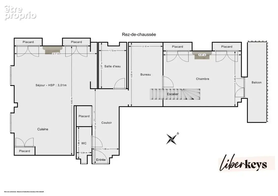 T3 Lyon 9ème Quai de Saône - Duplex en dernier étage - photo 10