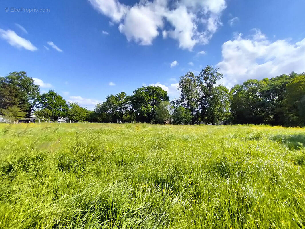Terrain à BAGUER-PICAN