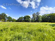 Terrain à BAGUER-PICAN