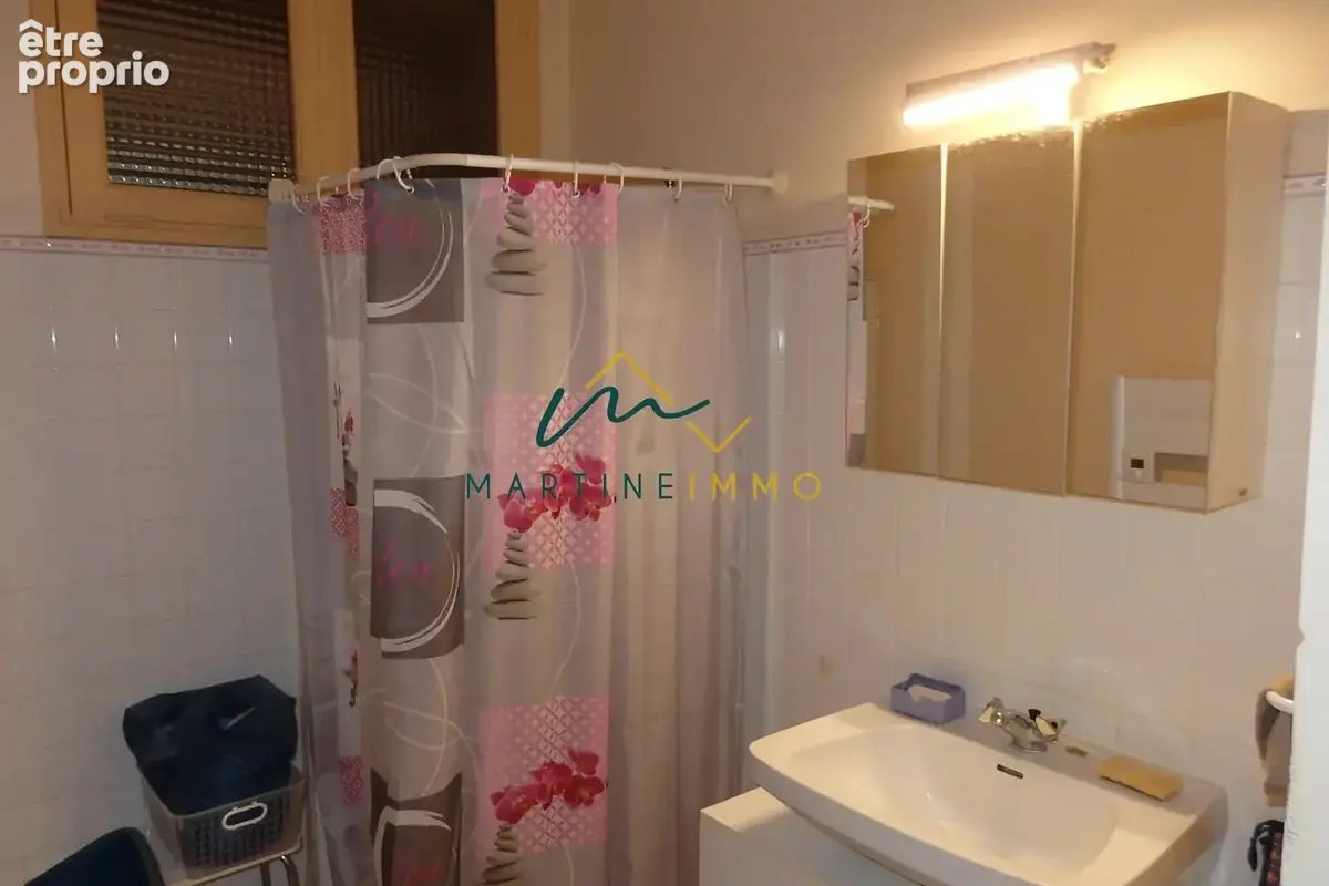 Maison a vendre au mas d'agenais - photo 8