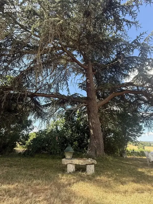 Magnifique propriété avec manoir et vaste parc - photo 28