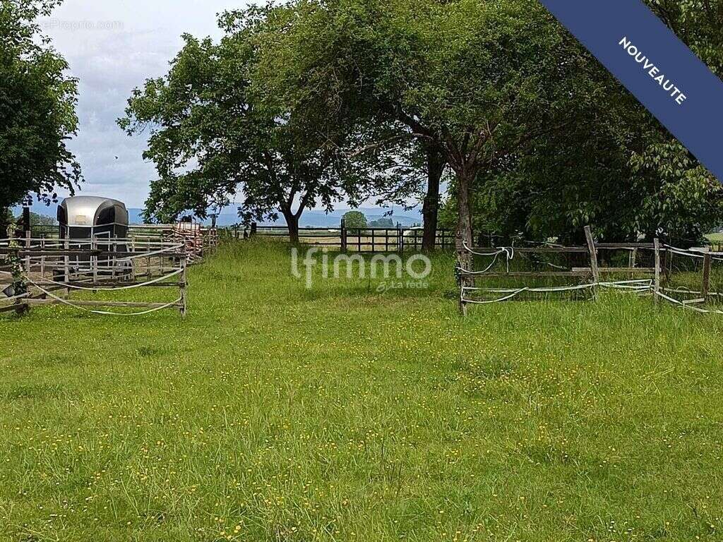 Corps de ferme entièrement rénové sur 23 ares avec paddocks - photo 8
