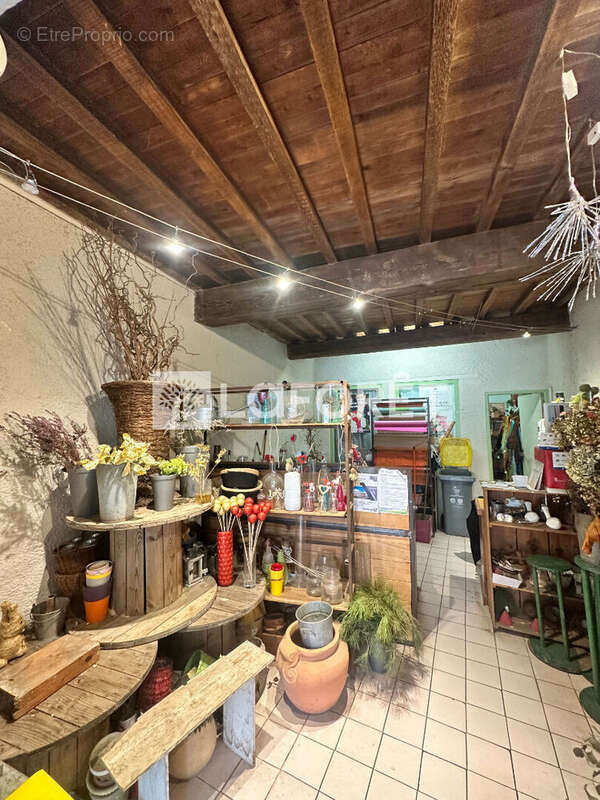 Commerce à COLLIOURE