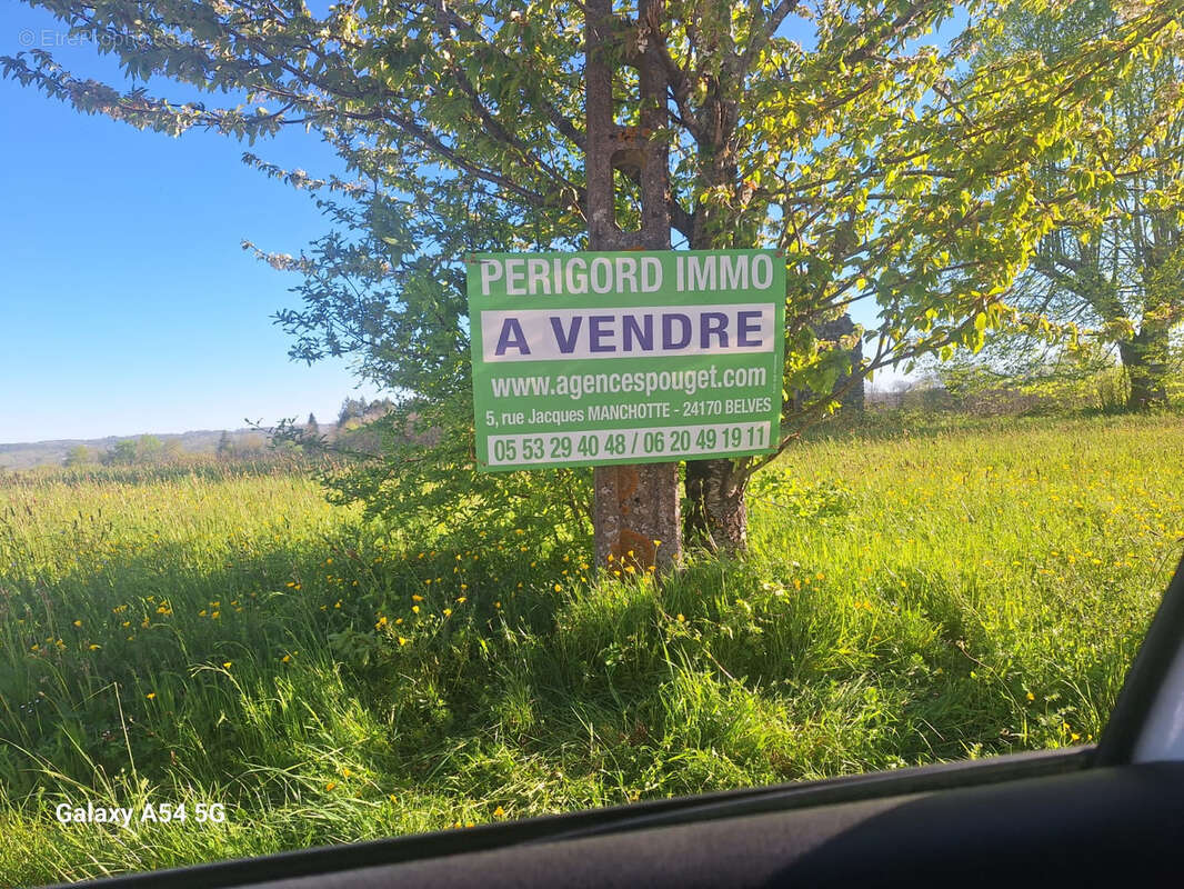 Ruine avec 3 ha - photo 4