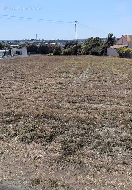 Terrain à LA ROCHE-POSAY