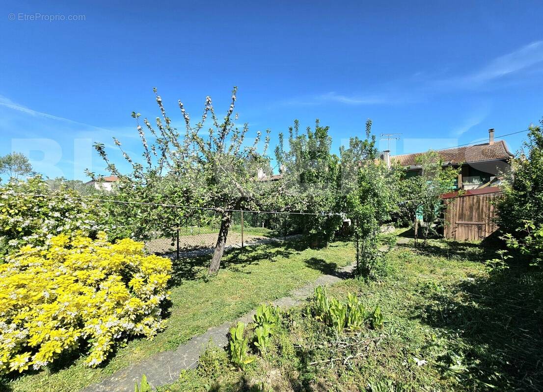 20250430_110036 - Maison à MIREPOIX